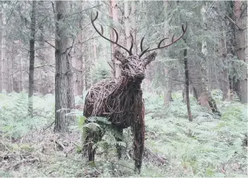  ??  ?? A wicker stag in the woodlands.