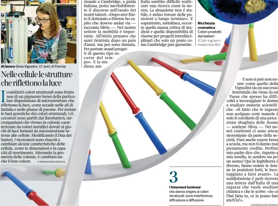  ?? (Colin Ingham/ Hoekmine BV) ?? Ricchezza cromatica Colori prodotti dai batteri