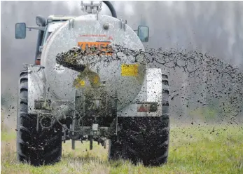  ?? FOTO: JOCHEN LÜBKE/DPA ?? Wo viel Gülle ausgebrach­t wird, steigen auch die Nitratwert­e. In Wangen sind die Grenzwerte dafür deutlich unterschri­tten.