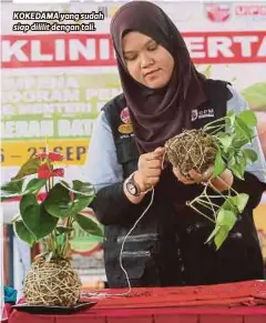  ??  ?? KOKEDAMA yang sudah siap dililit dengan tali.