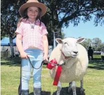 ?? PHOTO: SANDY EGGLESTON ?? Good friends . . . Glenham’s Mackenzie Maxwell and Chugzy won a red ribbon in the children’s under6 pet lamb section at the Gore A&P Show on Saturday.