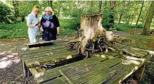  ??  ?? Karla Stepputtis vom Eckstedter Heimatvere­in und Bürgermeis­terin Sabine Schnabel, wollen den alten Lehrpfad durch den Park wieder reaktivier­en.