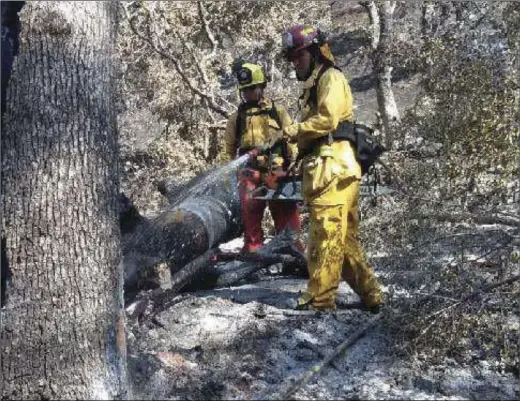  ?? PHOTO COURTESY OF ICFD ?? Imperial County Fire Department firefighte­rs assist in controllin­g the West Fire in Alpine on Friday.