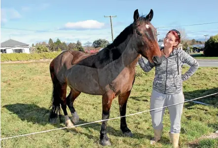  ??  ?? Former Kaitangata wild horse Charlie and his owner Laura King.