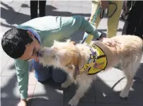  ?? Paul Chinn / The Chronicle 2018 ?? Neil Thayamball­i gets a kiss from Luigi in 2018 during an event bringing therapy dogs to 5 Berkeley's Sproul Plaza. A new ruling involves a woman who trained her own dog because a service dog cost $15,000.