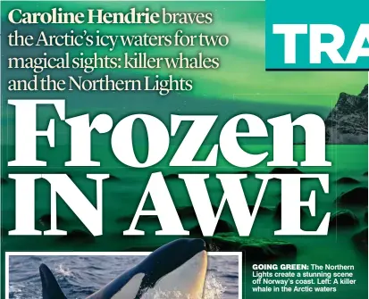  ??  ?? GOING GREEN: The Northern Lights create a stunning scene off Norway’s coast. Left: A killer whale in the Arctic waters