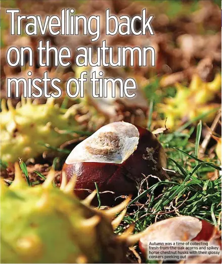  ??  ?? Autumn was a time of collecting fresh-from-the-oak acorns and spikey horse chestnut husks with their glossy conkers peeking out