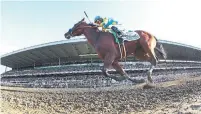  ?? CHANG W. LEE/THE NEW YORK TIMES FILE PHOTO ?? American Pharoah, with the same trainer as Justify, broke a 37-year jinx by winning the Triple Crown in 2015.