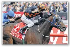  ?? Photo: AP ?? VICTORY RIDE: Shocking, ridden by Corey Brown, wins the 2009 Melbourne Cup.