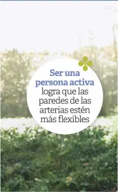  ??  ?? Ser una persona activa logra que las paredes de las arterias estén más flexibles