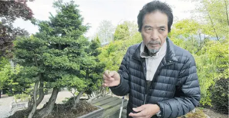  ?? WAYNE LEIDENFROS­T/PNG ?? Tak Yamaura, seen with some of his bonsai plants in Surrey on Monday, says $65,000 worth of the plants were stolen from his greenhouse.