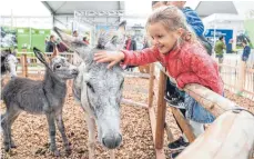  ?? FOTOS: OBERSCHWAB­ENSCHAU/FELIX KÄSTLE ?? Auch die kleinen Besucher haben bei der Oberschwab­enschau in Ravensburg ihren Spaß.