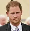  ?? ?? Prince Harry.