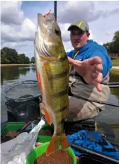  ??  ?? This beautifull­y coloured perch was the first fish of the day to pull Lucas’ tip round