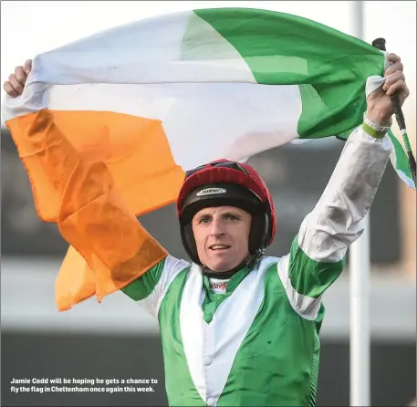  ??  ?? Jamie Codd will be hoping he gets a chance to fly the flag in Cheltenham once again this week.