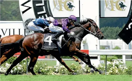  ?? SUPPLIED ?? Platinum Mam’selle will be one of two Lisa Latta-trained feature race starters on Matamata Breeders’ Stakes day.