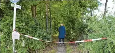  ??  ?? Momentan sind einige Waldstücke, wie hier der Edelweißwe­g in Donauwörth, auf grund des Eichenproz­essionsspi­nners gesperrt.