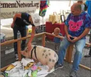  ??  ?? The Pig Placement Network was a crowd favorite during Phoenixvil­le’s first-ever VegFest.