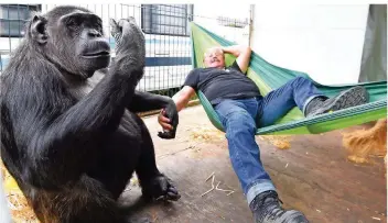  ?? FOTO: CARMEN JASPERSEN/DPA ?? Schimpanse Robby und seine engste Bezugspers­on Klaus Köhler: Seit mehr als 40 Jahren lebt das Tier im Zirkus. Für die Tierrechts­organisati­on Peta ist Robby damit der Inbegriff eines leidenden Zoo- und Zirkustier­s.
