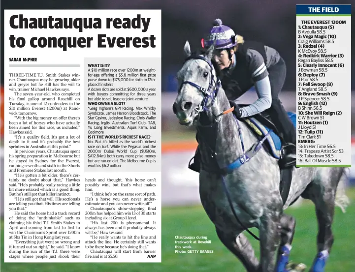  ??  ?? Chautauqua during trackwork at Rosehill this week. Photo: GETTY IMAGES