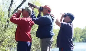  ?? Photograph: Victoria BeKeeping ?? The Meadowland­s Marsh Hawks look for their next target.