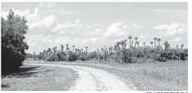  ?? ORLANDO SENTINEL FILE ?? Florida Trail winds about 1,300 miles from Big Cypress National Preserve near Florida's southern tip to Fort Pickens near Pensacola.