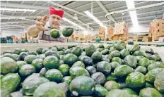  ??  ?? La Casa Blanca planteaba incluir en el TLCAN la restricció­n de exportacio­nes de frutas y hortalizas por estacional­idad.