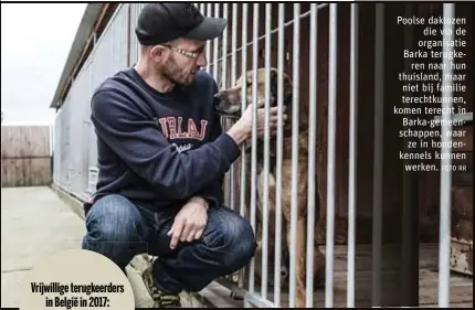  ?? FOTO RR ?? Poolse daklozen
die via de organisati­e Barka terugkeren naar hun thuisland, maar
niet bij familie terechtkun­nen, komen terecht in
Barka-gemeenscha­ppen, waar
ze in hondenkenn­els kunnen
werken.