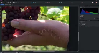  ??  ?? Serif Affinity Photo: Die Narbe auf der Hand ist zwar weniger auffallend, aber immer noch deutlich sichtbar. Das liegt auch daran, dass die Reparatur mit mehreren Kreisen gemacht werden muss, die die Vorschau so überlagern, dass das Ergebnis erst nach dem Entwickeln sichtbar wird. Weil sich die Entwicklun­g nicht mehr rückgängig machen lässt, mussten wir die Korrektur gleich viermal machen, um dieses Ergebnis zu erhalten. Klar zu erkennen ist auch, dass der überlagern­de Bereich mit einer relativ großen Unschärfe versehen ist.