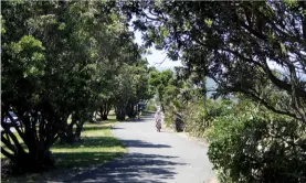  ??  ?? Above right: the shared pathway winds its way along the Petone Esplande. Right middle: A view of the Petone Wharf from the Petone Esplanade. Below left: A model sailing ship in the museum. Below right: The pathway winds its way along the foreshore near...