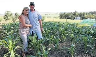  ??  ?? GROWING: Angela and Keith McLaren in a mealie field on their property in Mtubatuba