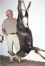  ??  ?? Bushbuck grow big in Natal; this one weighed 71kg.