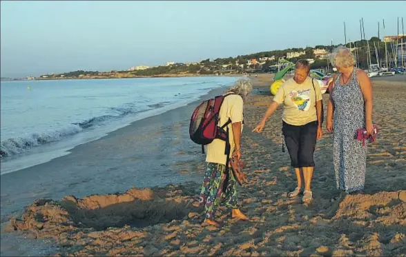  ?? VICENÇ LLURBA ?? Un grupo de voluntario­s paseando por la playa Llarga, a primera hora de la mañana, en busca de indicios del paso de la tortuga boba