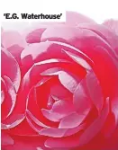 ?? ?? ‘E.G. Waterhouse’