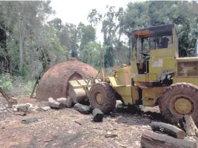  ??  ?? En cada operativo policial-judicial dentro de la Reserva Morombí se realiza la destrucció­n de hornos de carbón, pero estos reaparecen como hongos en la zona protegida. Unos 39 hornos fueron destruidos de nuevo.