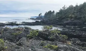  ?? JANE MUNDY ?? Botanical Beach in Port Renfrew offers tide pools teeming with marine life and the Devil’s Punchbowl, a gallery of caves.