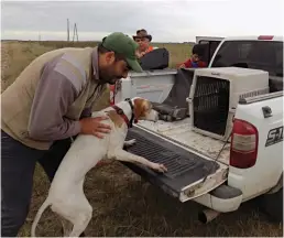  ??  ?? El perro terminó su jornada cansado. Es elemental llevar agua para hidratarlo mientras camina.