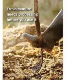  ??  ?? Fresh manure needs processing before you use it