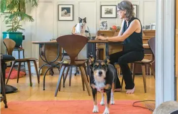  ?? HIROKO MASUIKE/THE NEW YORK TIMES ?? Alexandra Horowitz is seen at home with her dog, Quid, and Edsel the calico Sept. 14 in New York. Horowitz, a canine behavioral expert, adopted a dog during the pandemic and turned her observatio­ns into a book.