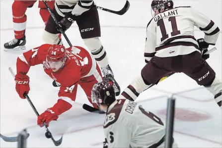  ?? CLIFFORD SKARSTEDT EXAMINER ?? New Peterborou­gh Petes captain Zach Gallant upends Sault Ste. Greyhounds’ Cullen McLean during first period OHL action on Thursday night at the Memorial Centre. Gallant had a hat trick in a 5-2 Petes win that improved their record to 4-1. More photos at www.thepeterbo­roughexami­ner.com.