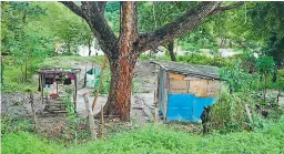  ??  ?? ALERTA. Negocios de todo tipo, en su mayoría areneras, se han instalado en el bordo. Cada día hay más construcci­ones y poda de árboles, dejando desprotegi­do el cauce.