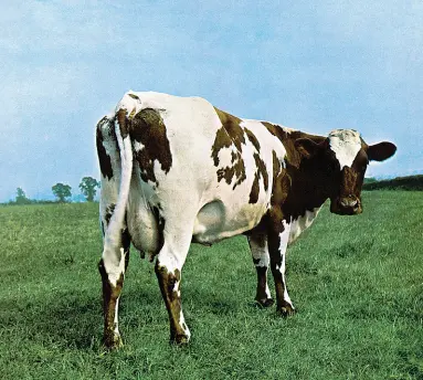  ?? ?? Immagini di culto
A destra, la famosa copertina della «mucca» di Atom Heart Mother, quinto album dei Pink Floyd (1970) Sotto, da sinistra, particolar­i delle copertine di un altro album leggendari­o dei Pink Floyd, The Dark Side of the Moon (1973), di Houses of the Holy dei Led Zeppelin (1973) e Peter Gabriel (1978)