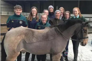  ??  ?? Kingdom Pony Club members Dermot Pierse, Sadbh Glavin Murphy, Lucy Daly, Saoirse Glavin Murphy, Mary O’Connor, Gaelle Daly, Ruth Mcelligott, Rebecca Barry, Gwynn Holmes pictured with Rockie the Pony.