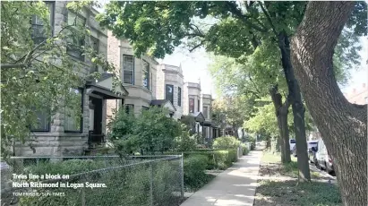  ?? TOM FRISBIE/SUN-TIMES ?? Trees line a block on
North Richmond in Logan Square.