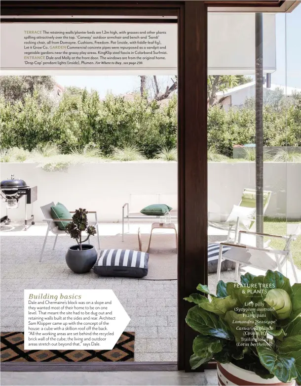  ??  ?? TERRACE The retaining walls/planter beds are 1.2m high, with grasses and other plants spilling attractive­ly over the top. ‘Conway’ outdoor armchair and bench and ‘Sandi’ rocking chair, all from Domayne. Cushions, Freedom. Pot (inside, with fiddle-leaf...