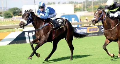  ??  ?? LADIES FIRST. Ektifaa beats home her male rivals to win the R250 000 Grade 3 Tony Ruffel Stakes over 1450m at the Turffontei­n Inside track on Saturday.