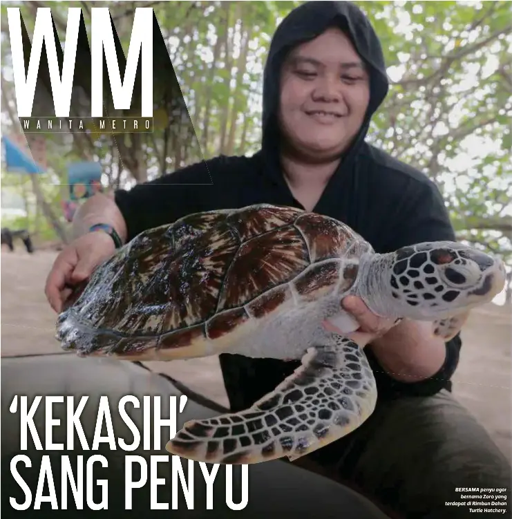 Kekasih Sang Penyu Pressreader