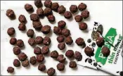  ?? FOR THE WASHINGTON POST PHOTO BY STACY ZARIN GOLDBERG ?? The forthcomin­g Thin Mints Chickpea Snacks apparently taste so much like the real thing, the Girl Scouts of the USA have officially blessed the little chocolate-dipped nuggets from Biena Snacks.