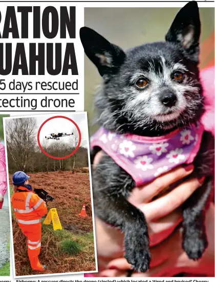  ??  ?? Airborne: A rescuer directs the drone (circled) which located a ‘tired and bruised’ Cherry