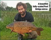  ??  ?? A beautiful fully-scaled Pool Bridge mirror.